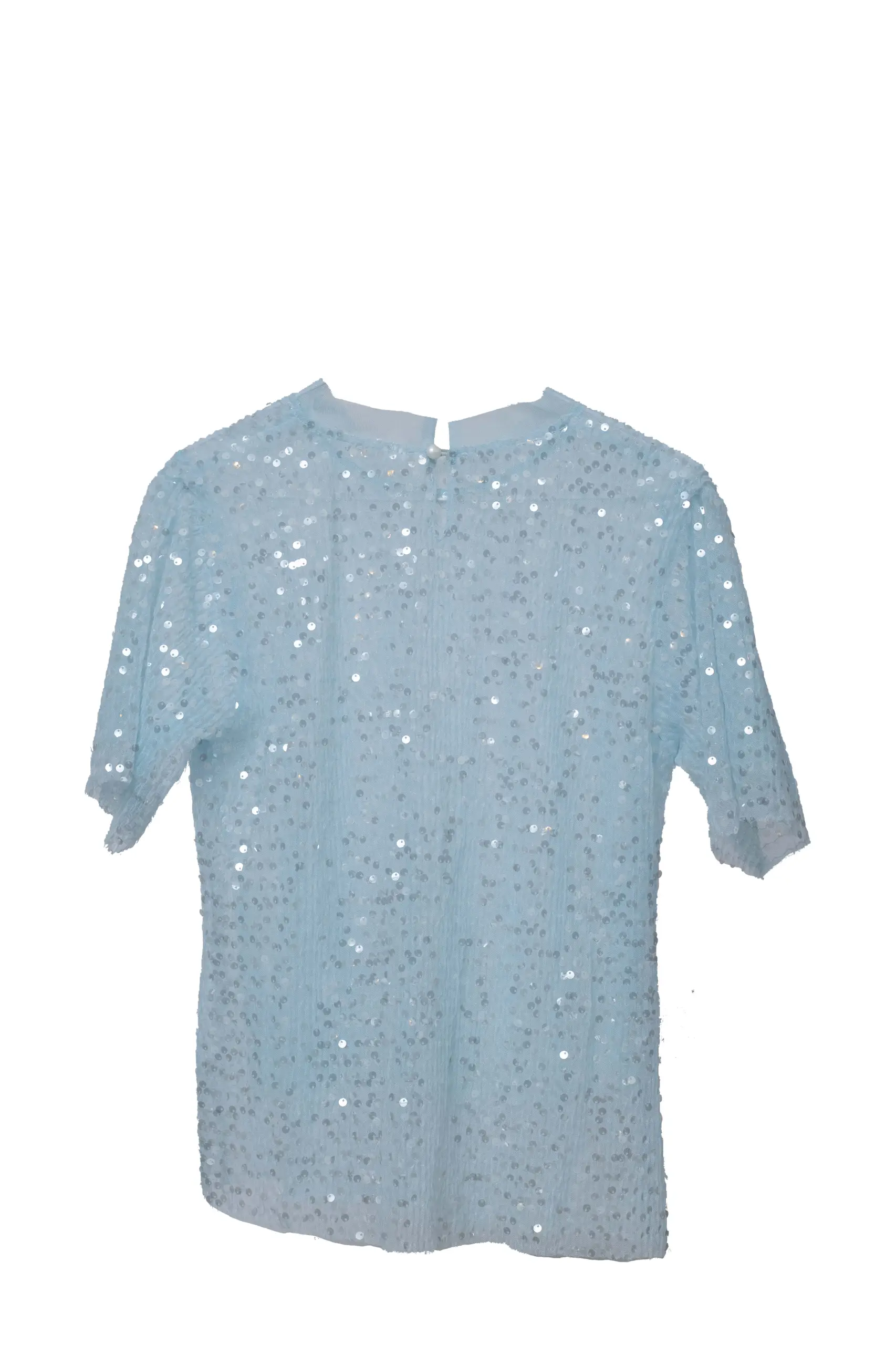 Translucent Sequin Party blouse