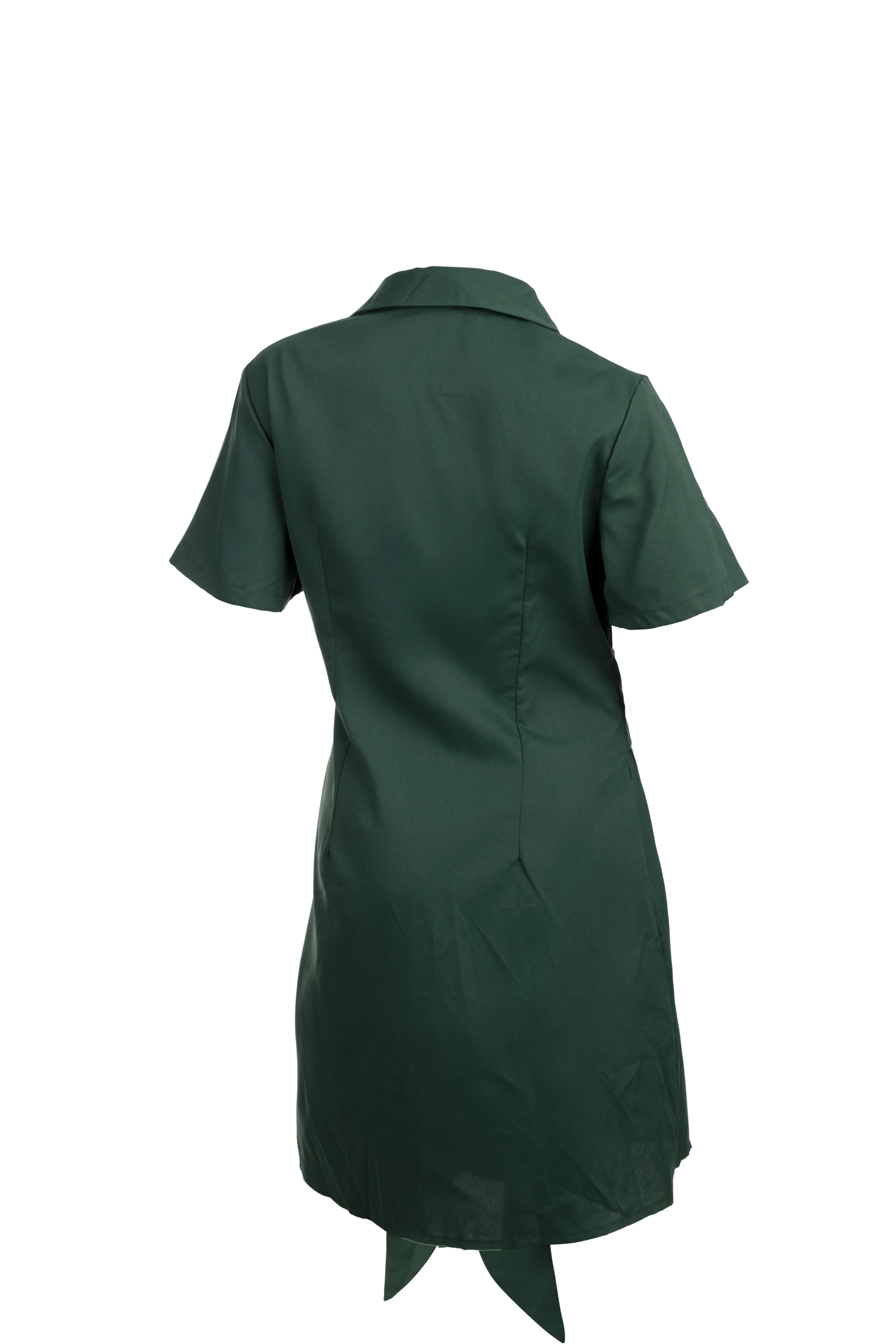 Rowe Cinched Shirtdress